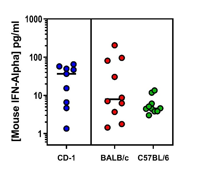 Endogenous Mouse IFN-Alpha Quantified in Plasma or Serum From Three Mouse Strains Using PBL’s High Sensitivity Mouse IFN-Alpha All Subtype ELISA