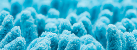 Microbiome