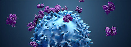 Treg cells