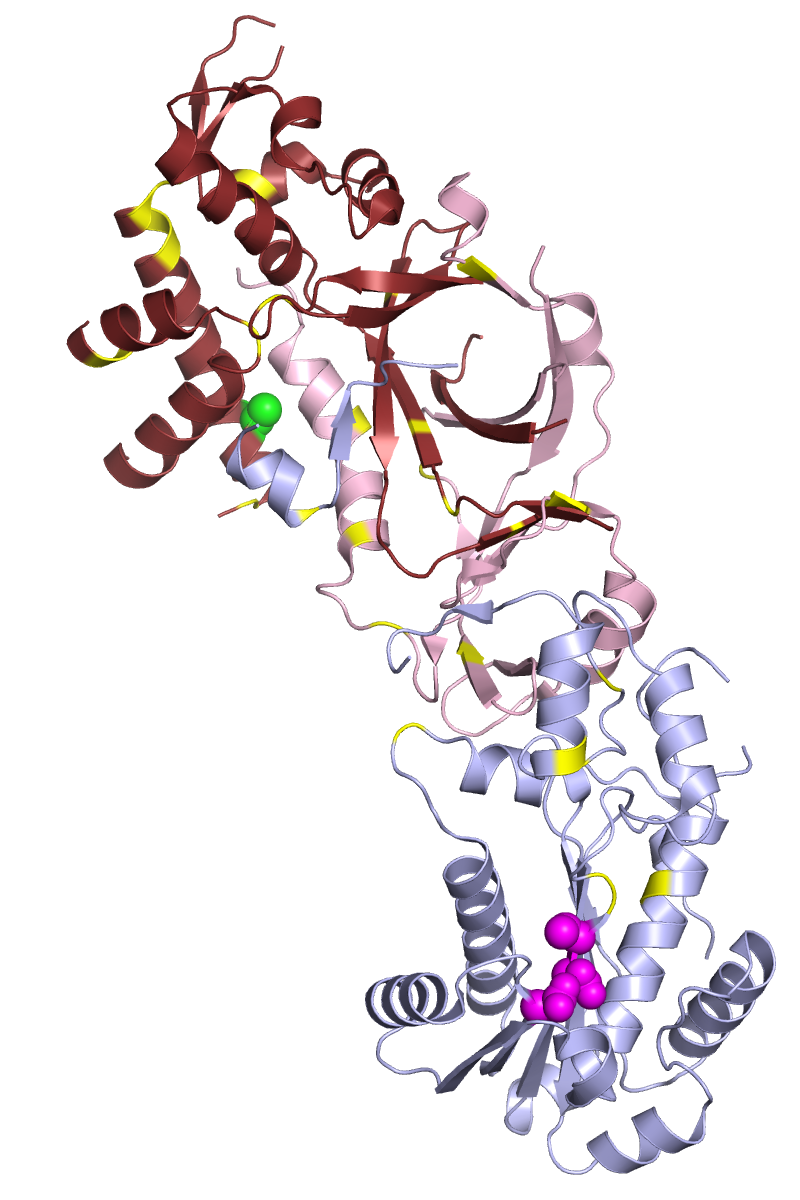 Human Ribonuclease H2 complex