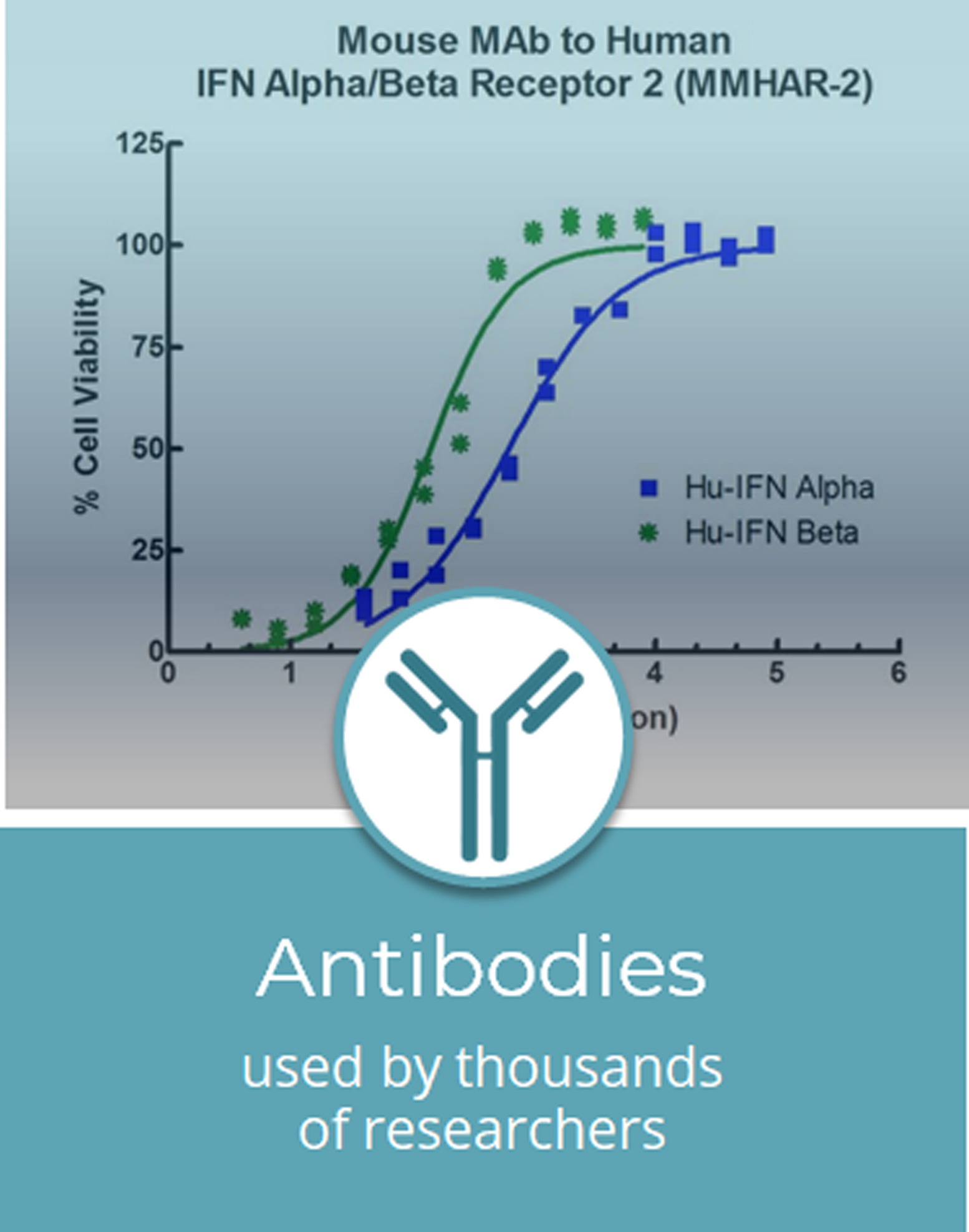 Antibodies
