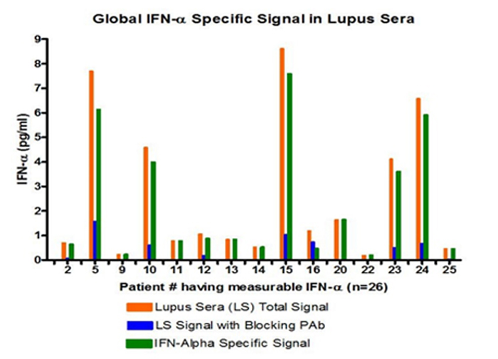 IFN-alpha level in Lupus Patient Sera