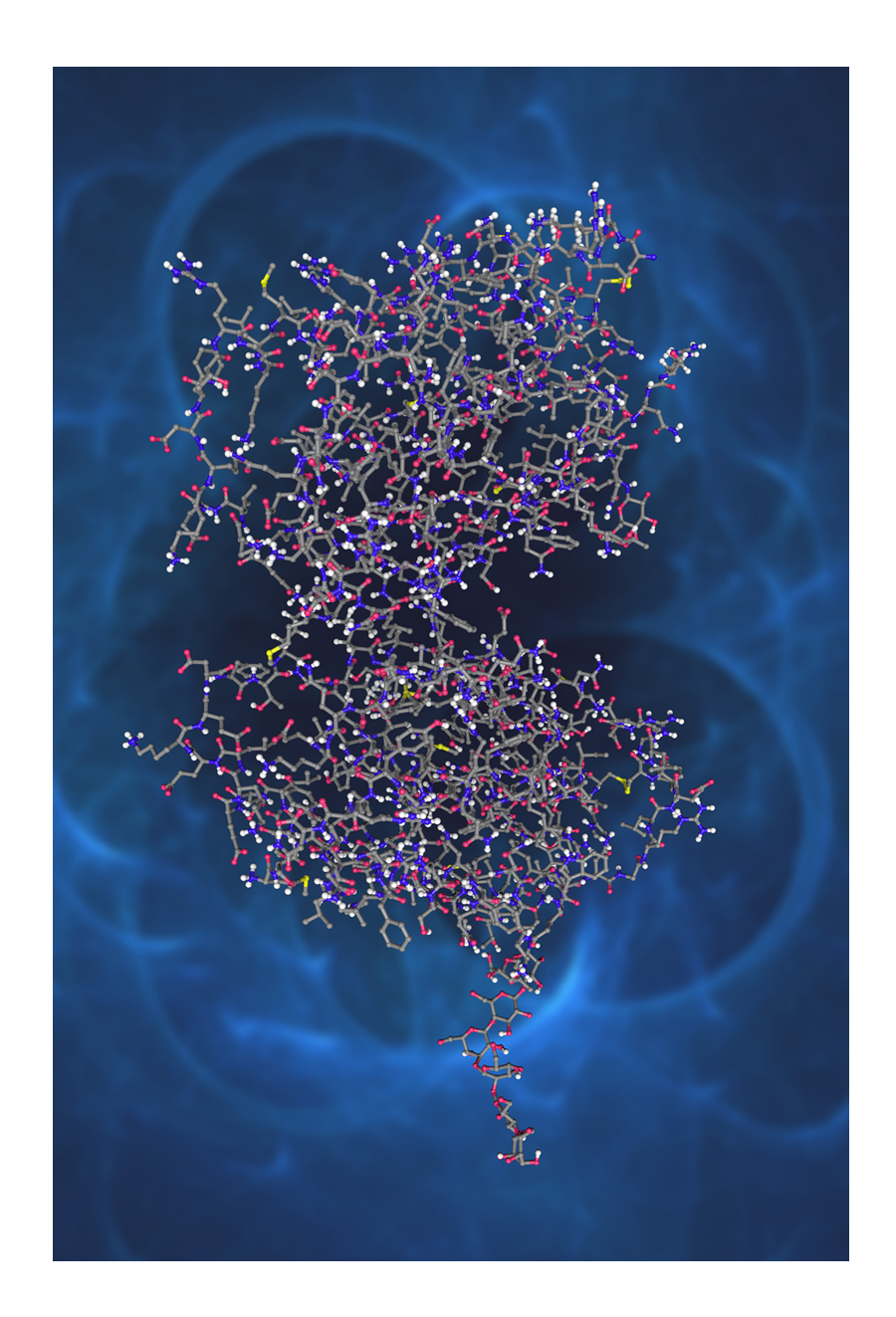 IFN-beta