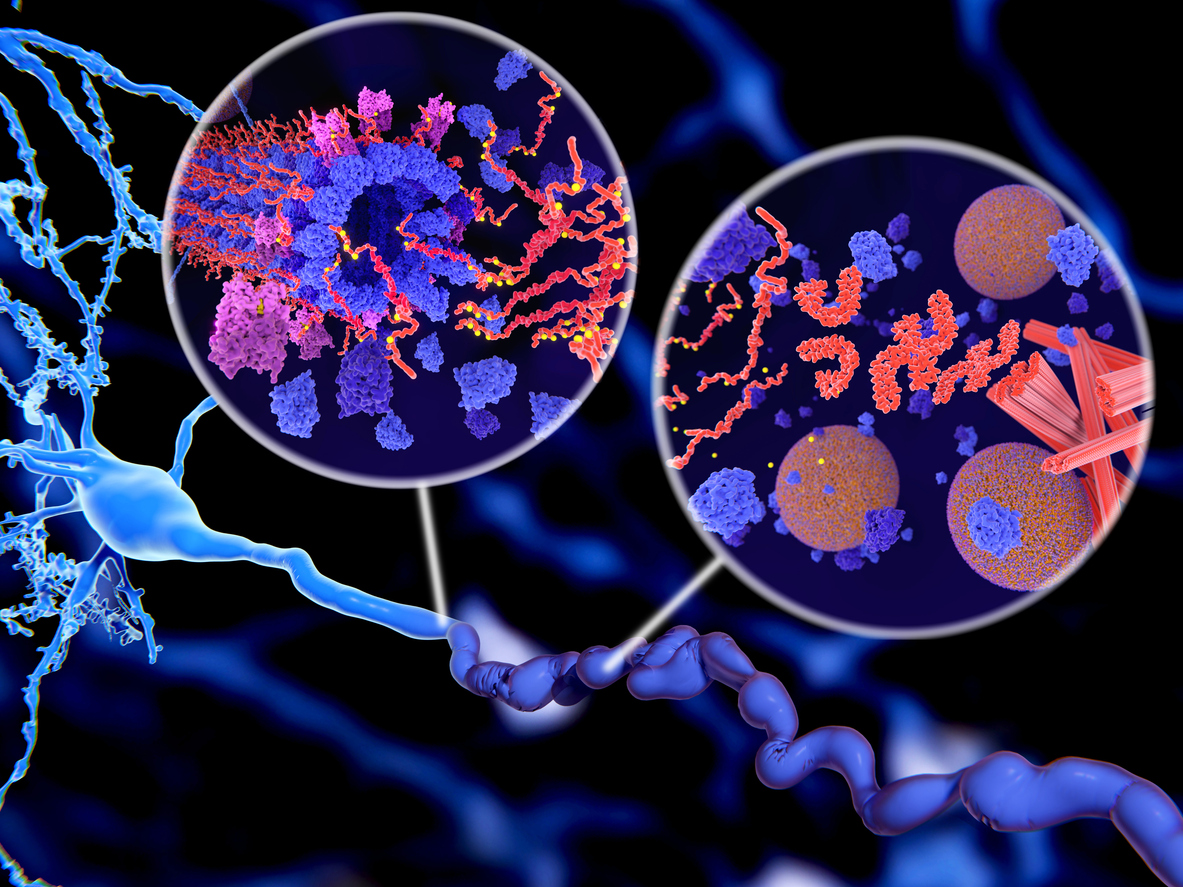 Pathological Tau Protein