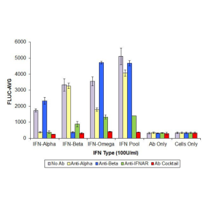 An anti-IFN-Alpha, anti-IFN-Beta, and anti-IFNAR2 antibody mixture substantially improved neutralization of Human Type I IFN activity