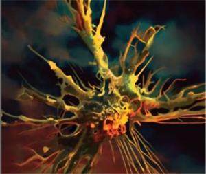 Dendritic cell