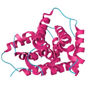 IL-22 protein