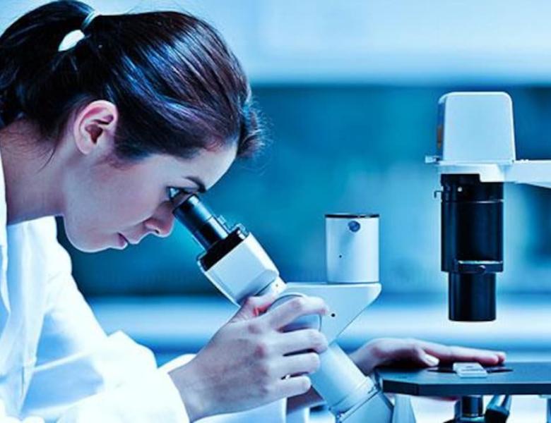 lab