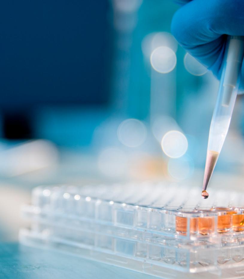 Assay Kits