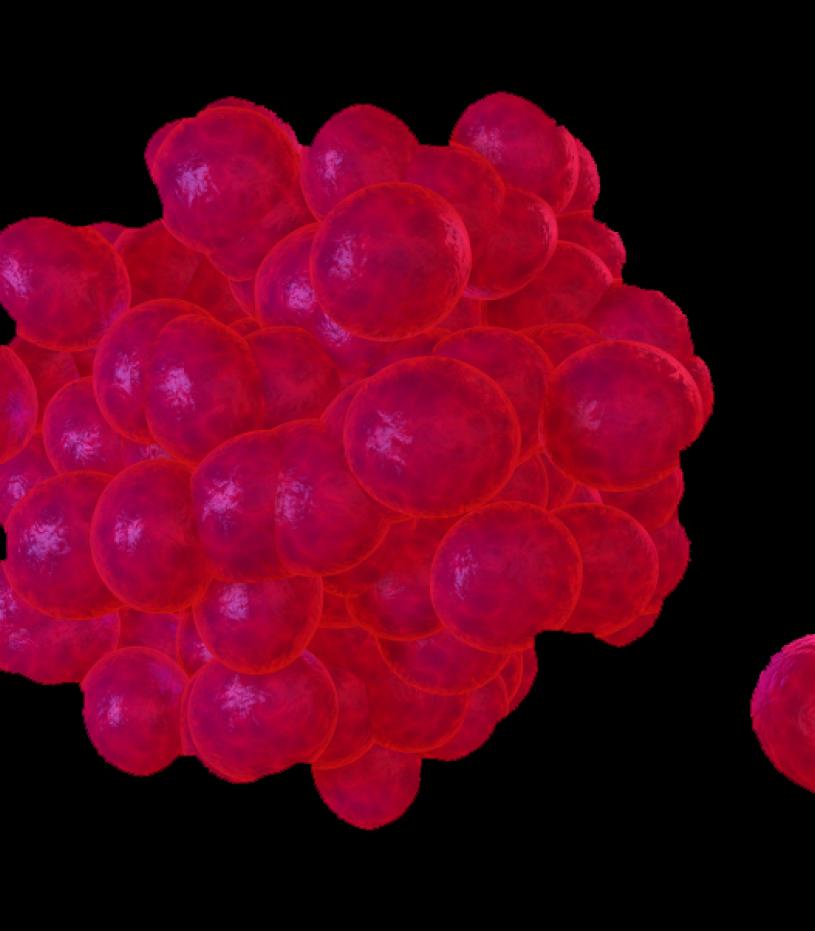 Cancer cell