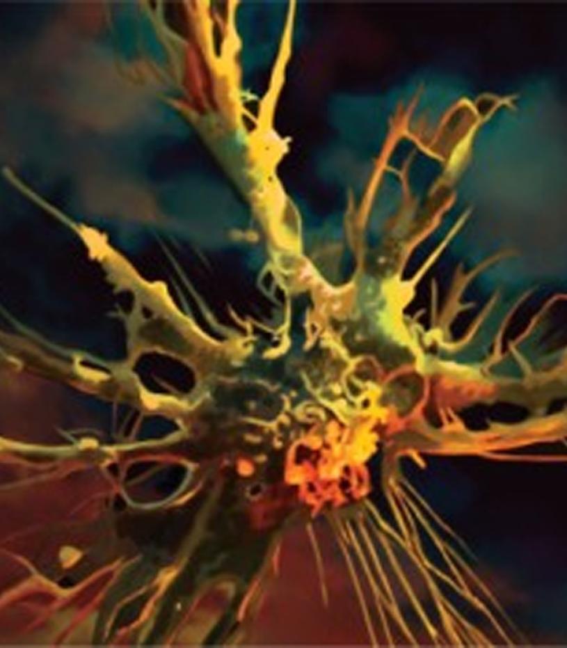 Dendritic cell