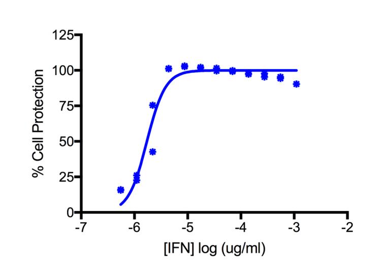 Human IFN-Alpha 14 (Alpha H2) Protein | PBL Assay Science