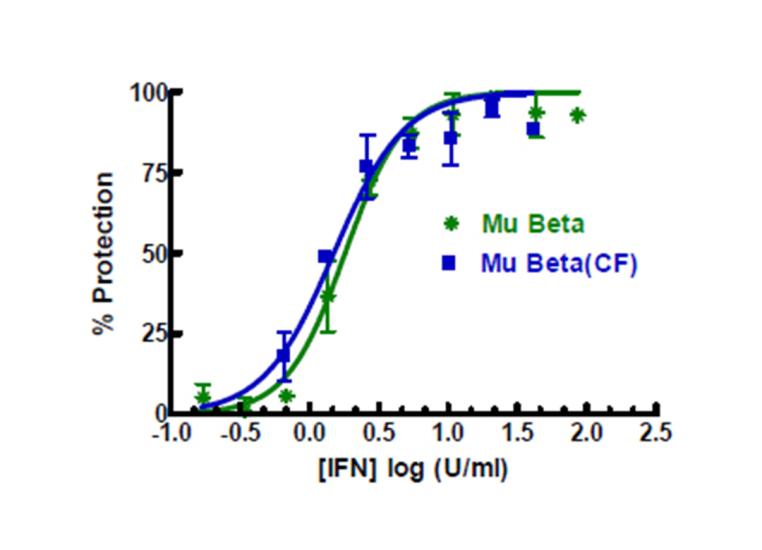Mouse IFN Beta E Coli PBL Assay Science