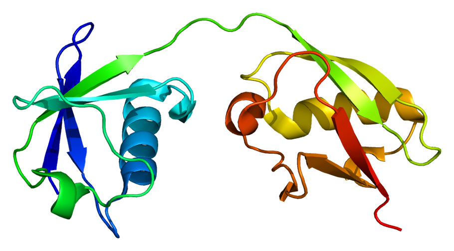Combining a β3 adrenergic receptor agonist with alpha‐lipoic acid