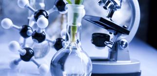 lab