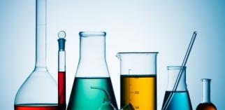 lab