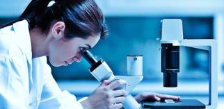 lab